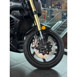 ECO Ducati DIAVEL PRO MAX Black