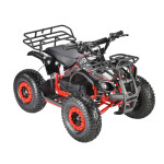 ECO MINI X1 ECO MINI X1