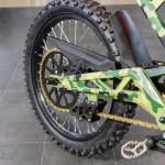 ECO Jaguar