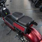 EcoMoto Premium Lion E3900W RED Edition EcoMoto Premium Lion E3900W RED Edition