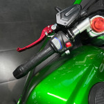 ECO Ducati Panigale Green 120Ah