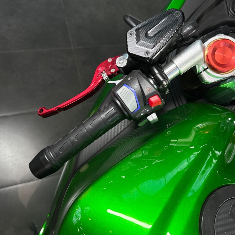 ECO Ducati Panigale Green 120Ah