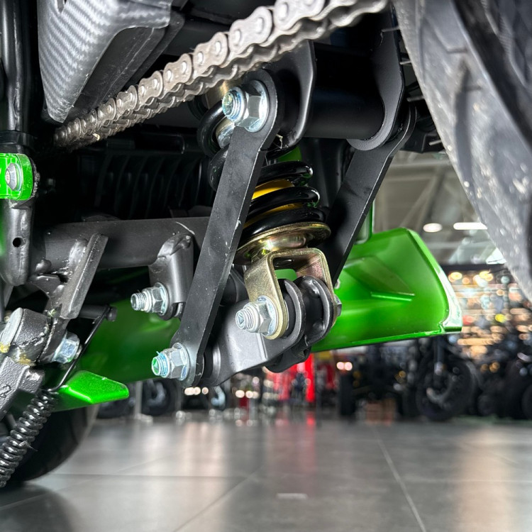 ECO Ducati Panigale Green 120Ah