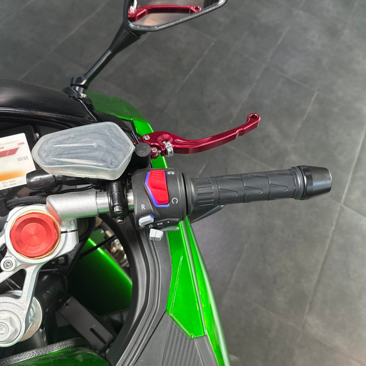 ECO Ducati Panigale Green 120Ah