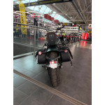 ECO Harley Davidson Green