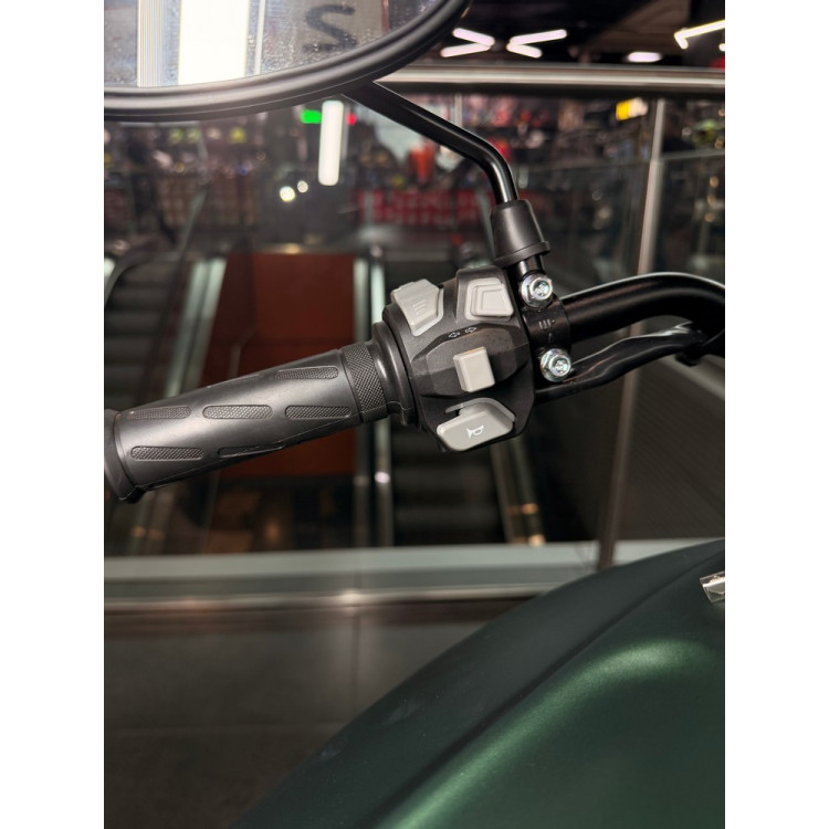 ECO Harley Davidson Green