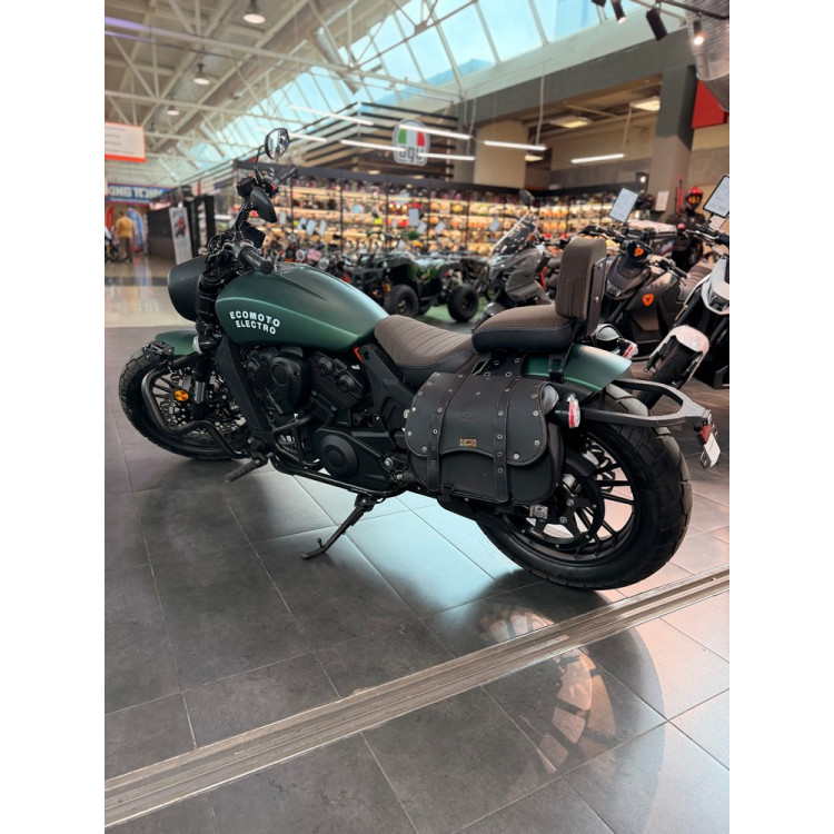 ECO Harley Davidson Green