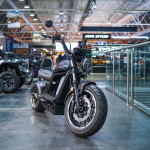 ECO Black LION E3000 Premium Chopper