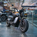 ECO Black LION E3000 Premium Chopper