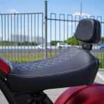 ECO Red LION E3000 Premium Chopper