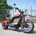 ECO Red LION E3000 Premium Chopper