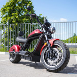 ECO Red LION E3000 Premium Chopper