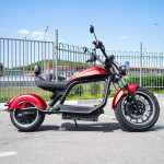 ECO Red LION E3000 Premium Chopper