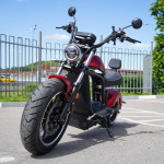 ECO Red LION E3000 Premium Chopper