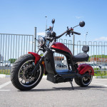 ECO Red LION E3000 Premium Chopper