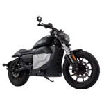 ECO Motofino V-Maxter 300EV