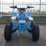 ECO Monster TRUCK