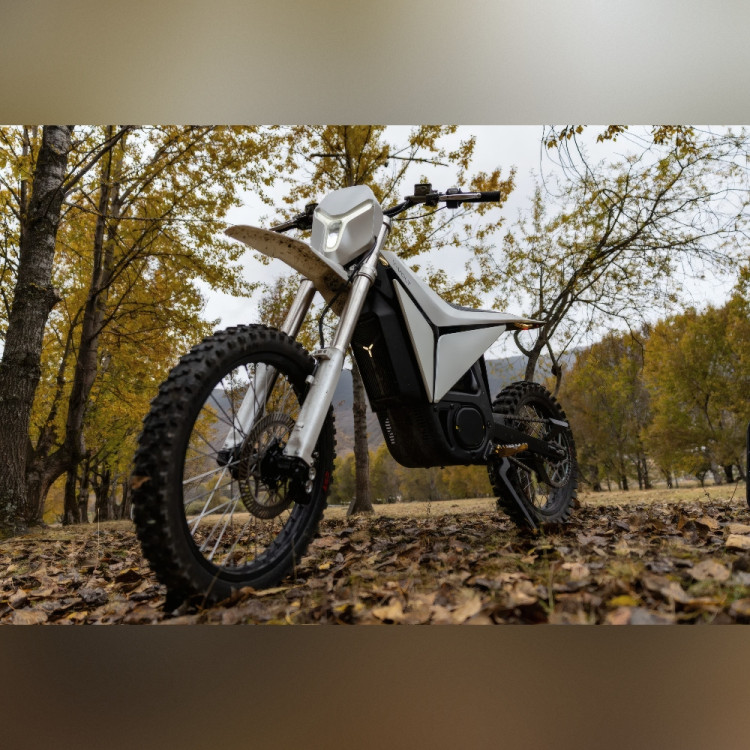 Y-Volt Surge V