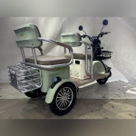 GreenCamel Пони Z8 V2