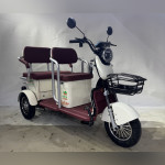 GreenCamel Пони Z8 V2