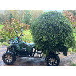 GreenCamel Сахара A015