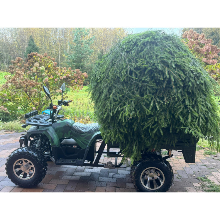 GreenCamel Сахара A015