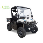 UTV GreenCamel Linhai