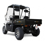 UTV GreenCamel Linhai