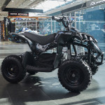 ATV Cat 1000W