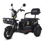 Siberton S1