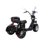 Skyboard TRIKE BR60-3000 PRO FAST