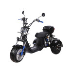 Skyboard TRIKE BR60-3000 PRO FAST