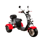 Skyboard TRIKE BR60-3000 PRO FAST