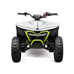 CFMOTO CFORCE EV110