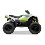 CFMOTO CFORCE EV110