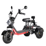 White Siberia Trike Mini 1500W