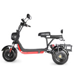 White Siberia Trike Mini 1500W